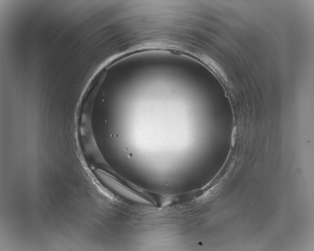 X0000073400854200608111257
