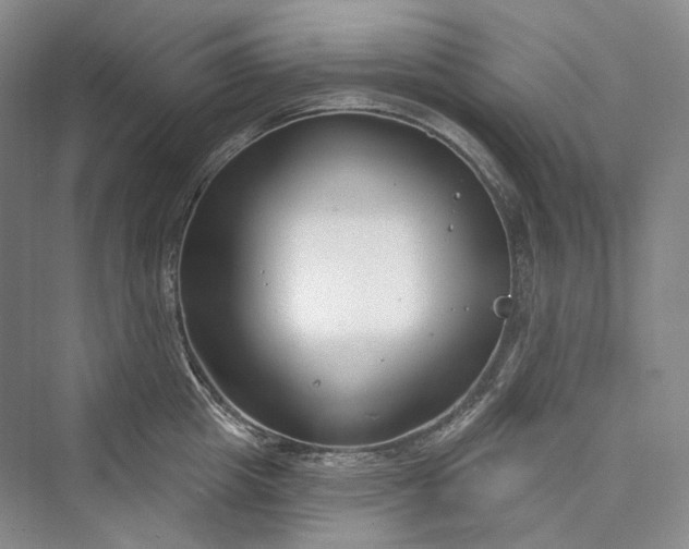 X0000073400857200608111257