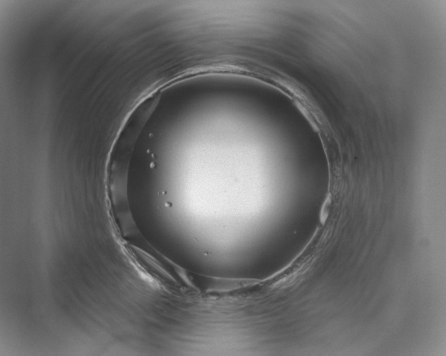 X0000073400858200608111257