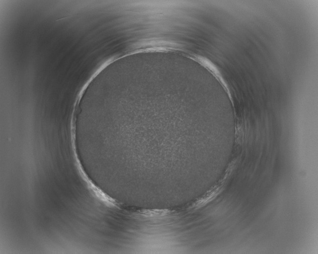 X0000073400859200608111257