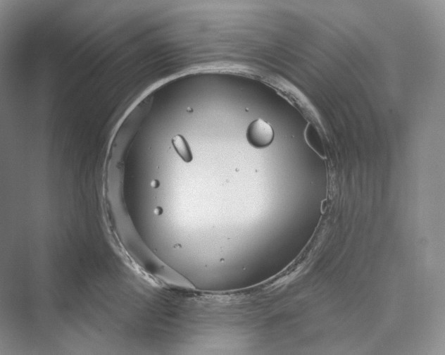 X0000073400860200608111257