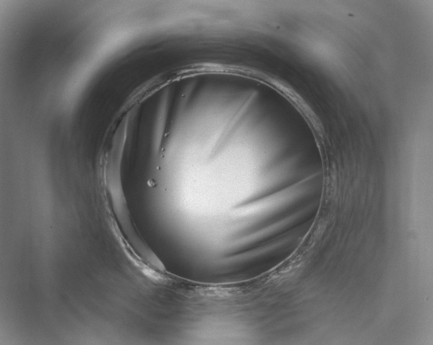 X0000073400862200608111257