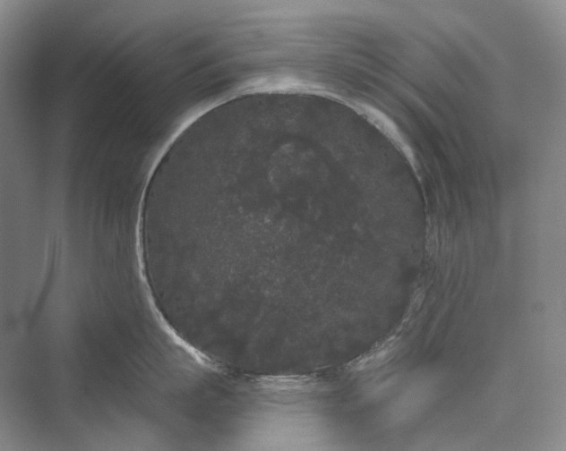 X0000073400863200608111257