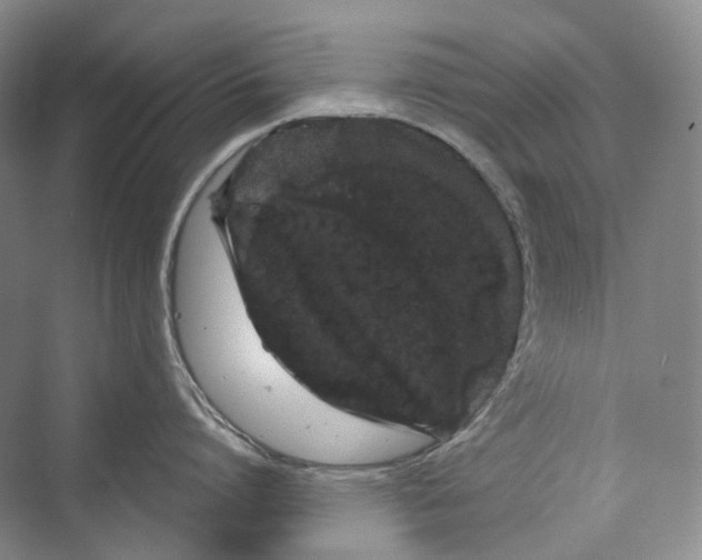 X0000073400864200608111257