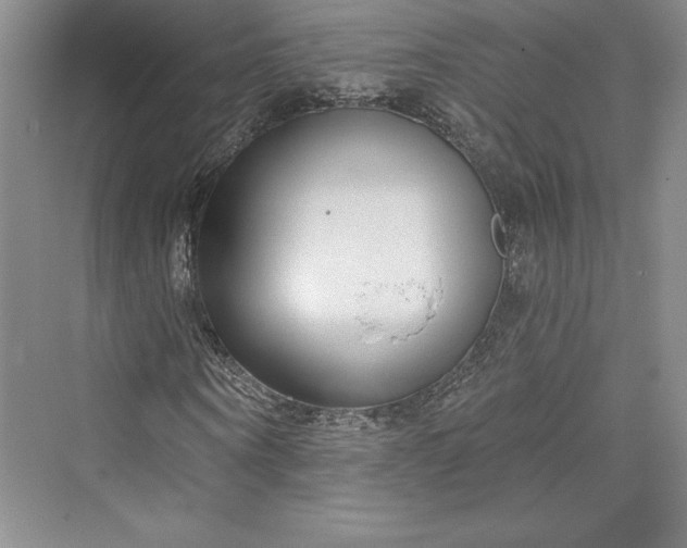 X0000073400866200608111256