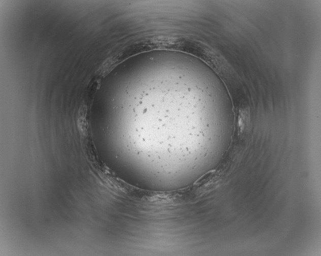 X0000073400867200608111256
