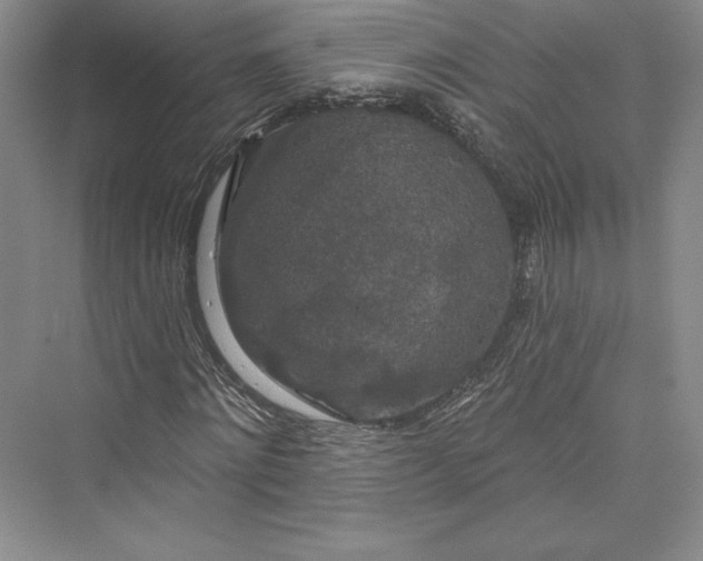 X0000073400868200608111256