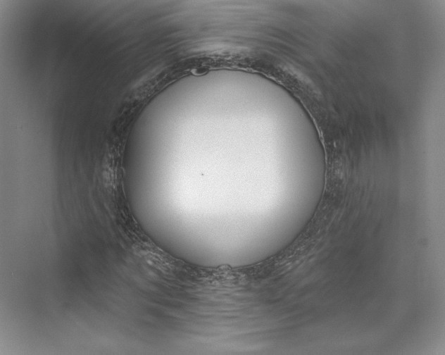 X0000073400869200608111256