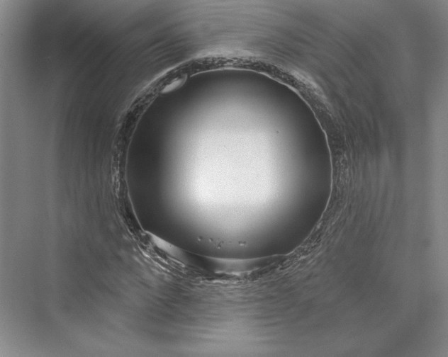 X0000073400872200608111256