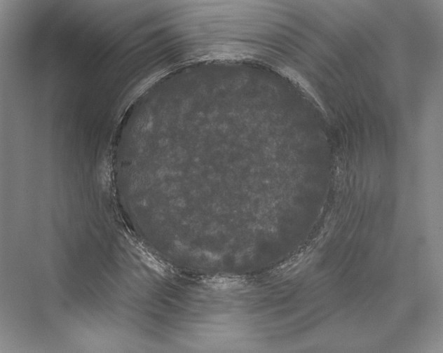 X0000073400874200608111256
