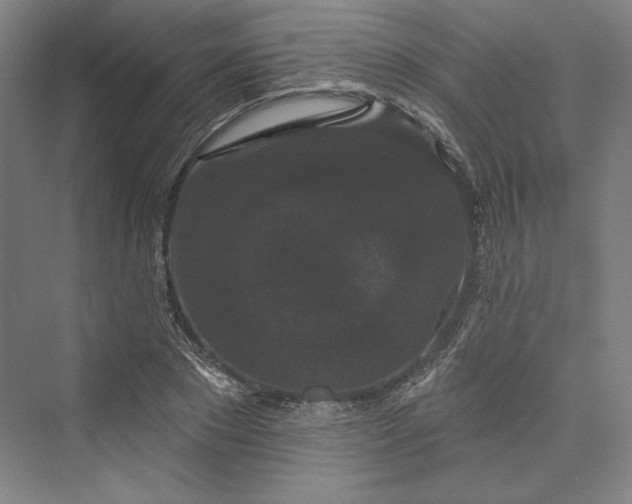 X0000073400881200608111256