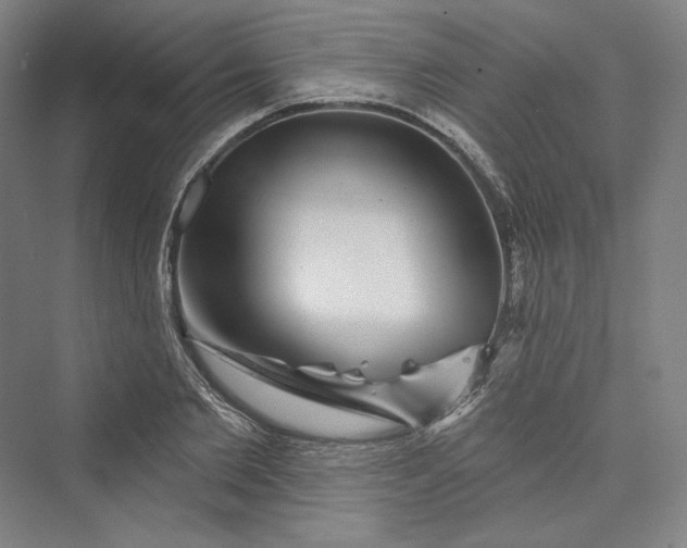 X0000073400885200608111256