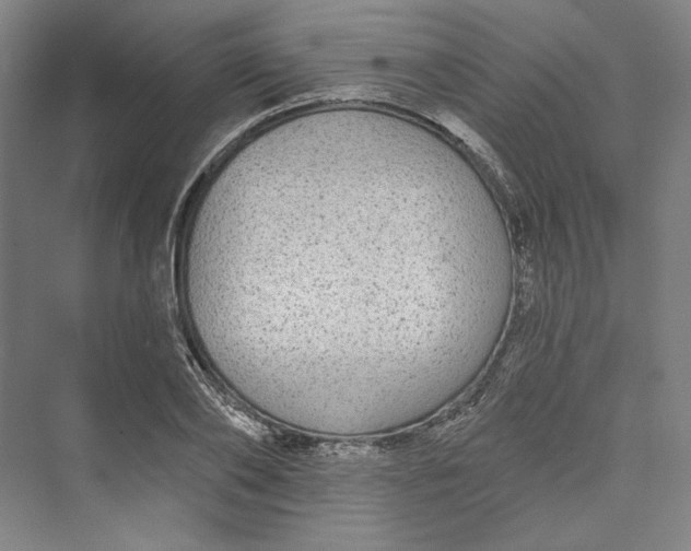 X0000073400886200608111256