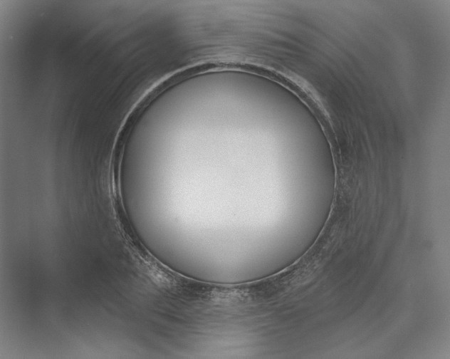 X0000073400887200608111256