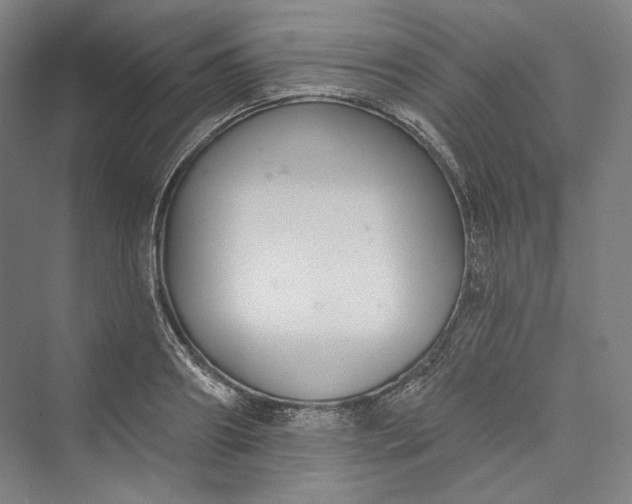 X0000073400890200608111256