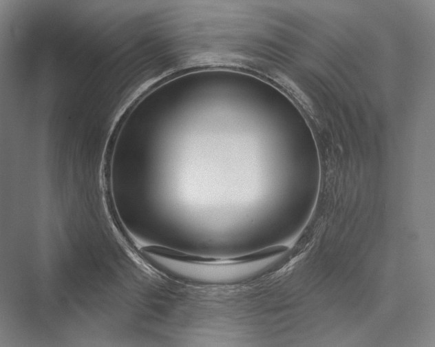 X0000073400893200608111256