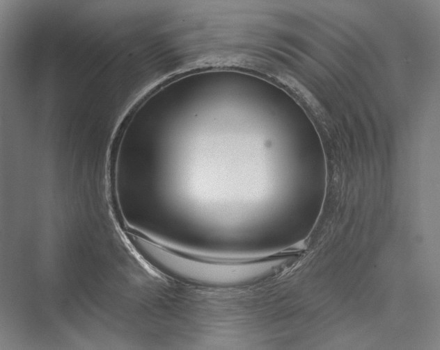 X0000073400894200608111256