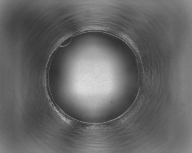 X0000073400898200608111256