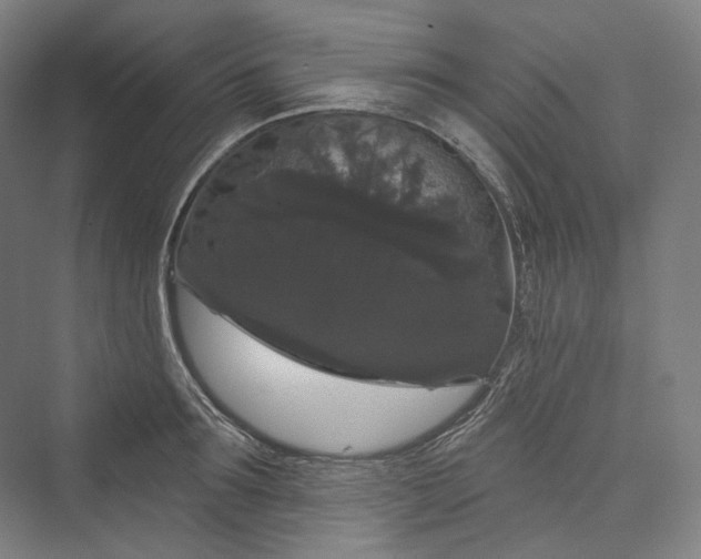 X0000073400899200608111256
