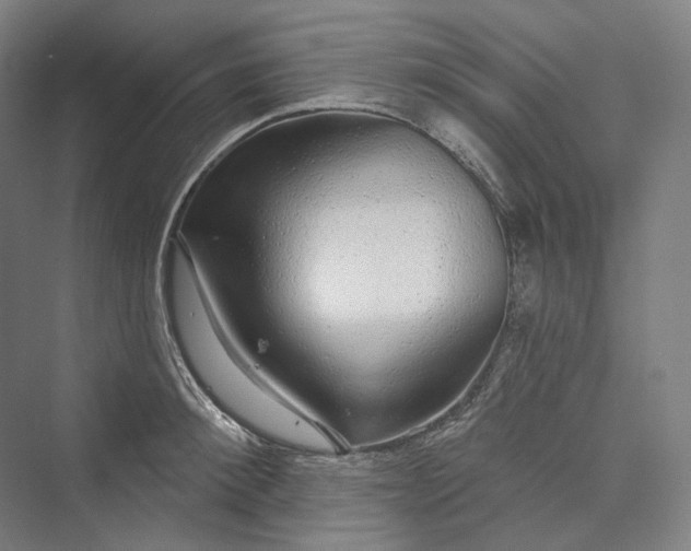 X0000073400900200608111256