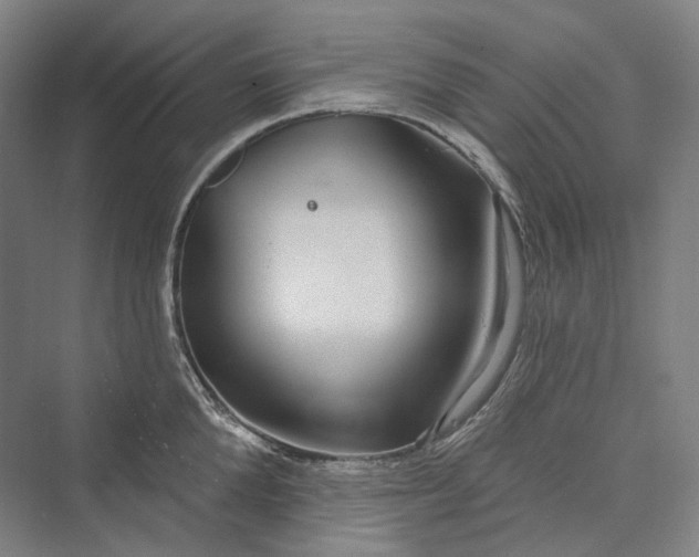 X0000073400904200608111256