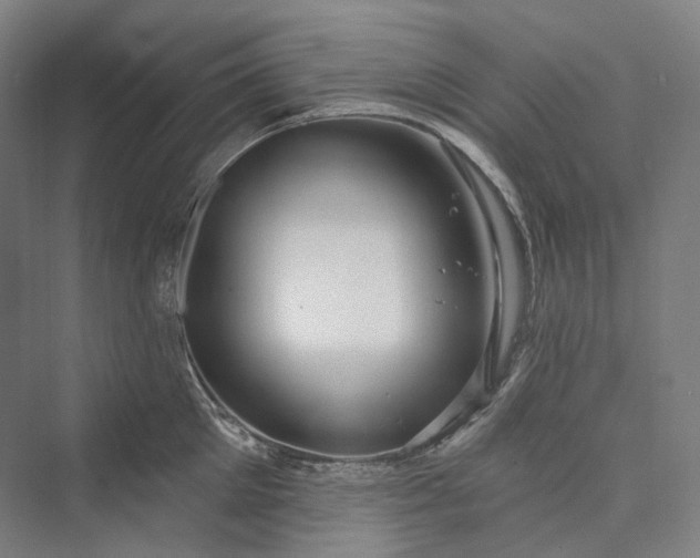 X0000073400905200608111256