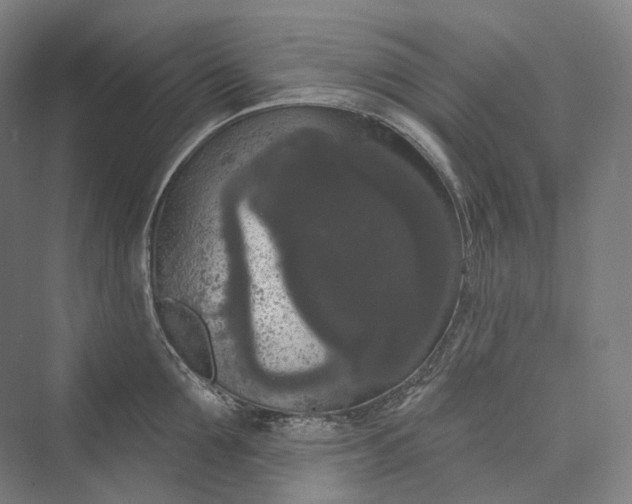 X0000073400907200608111256