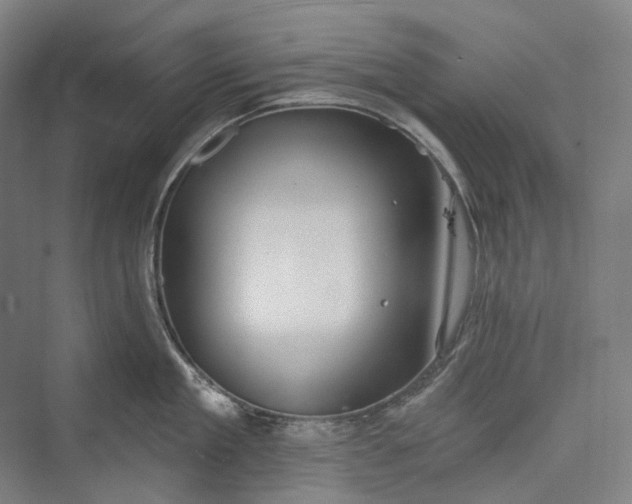 X0000073400909200608111256