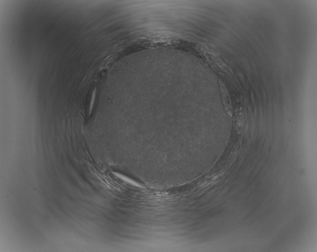 X0000073400916200608111255