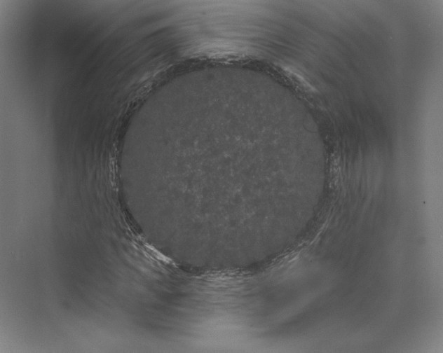 X0000073400917200608111255