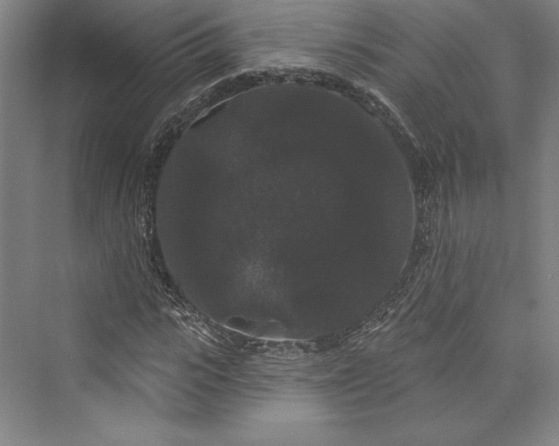 X0000073400919200608111255