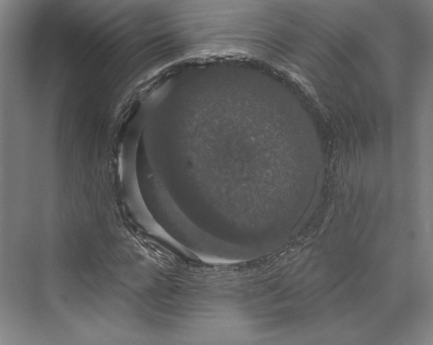 X0000073400920200608111255
