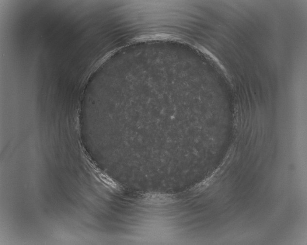 X0000073400921200608111255