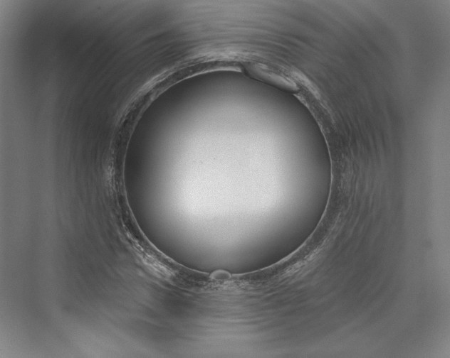X0000073400922200608111255