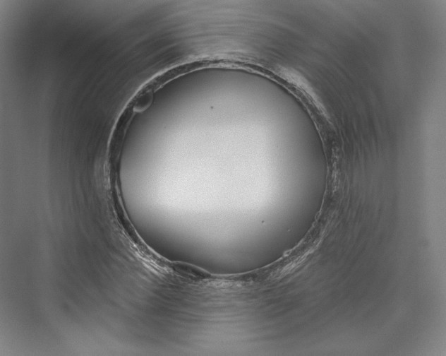 X0000073400924200608111255