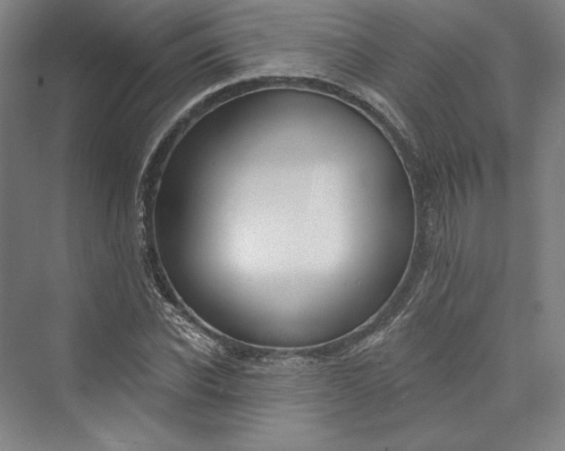 X0000073400926200608111255