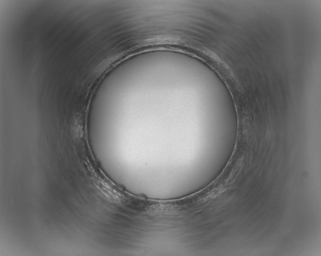 X0000073400929200608111255