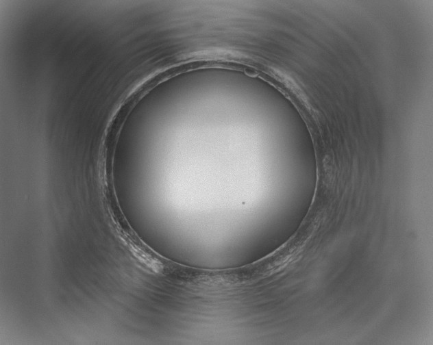 X0000073400931200608111255