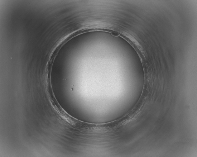X0000073400933200608111255