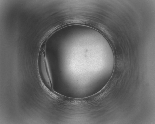 X0000073400938200608111255
