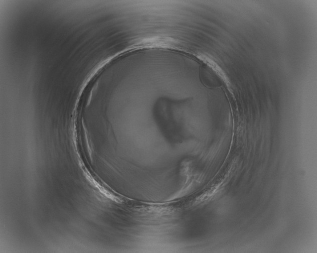 X0000073400941200608111255