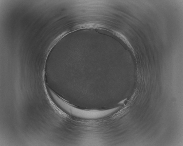 X0000073400946200608111255