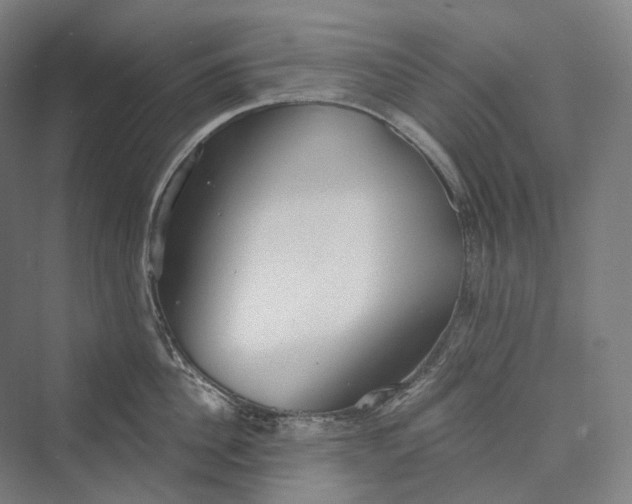 X0000073400956200608111255