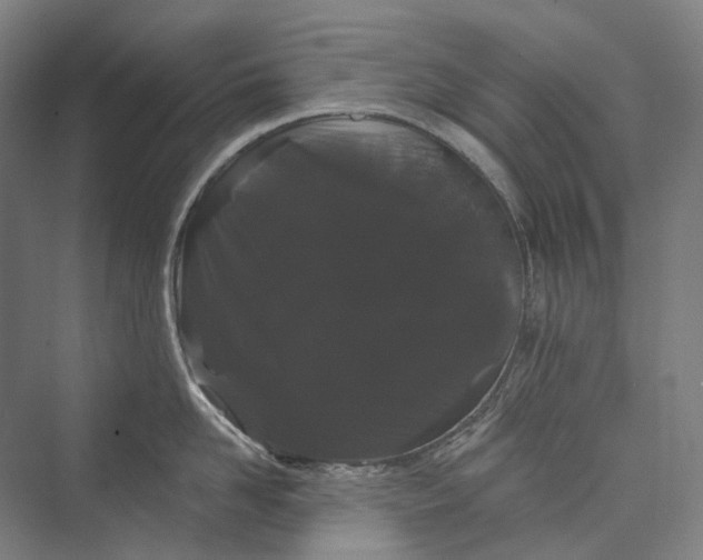 X0000073400958200608111255