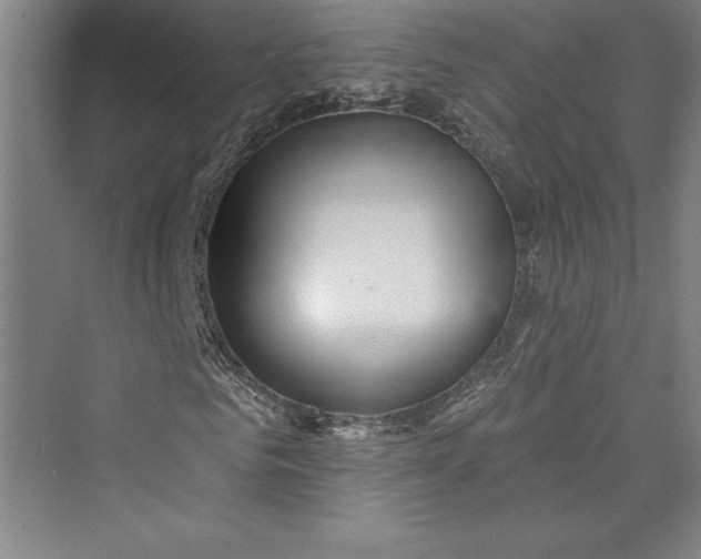 X0000073400961200608111255