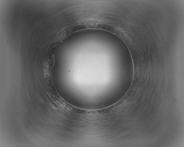 X0000073400964200608111255