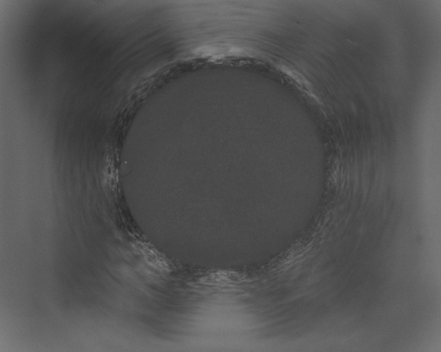 X0000073400966200608111255