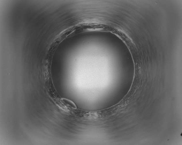 X0000073400968200608111255