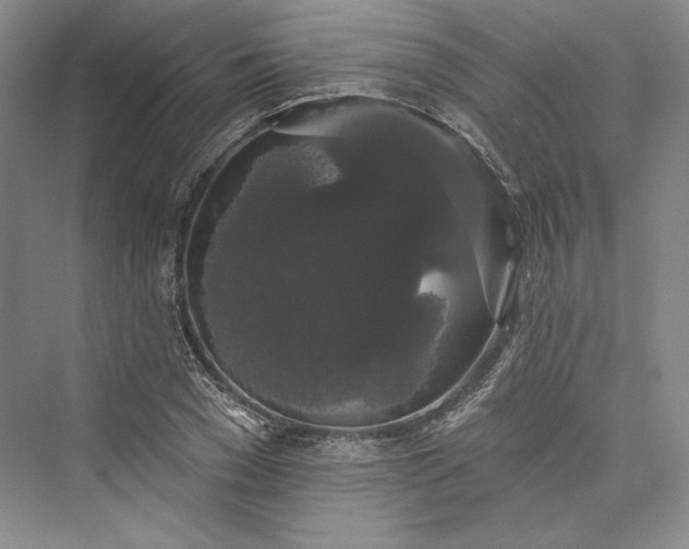 X0000073400977200608111254