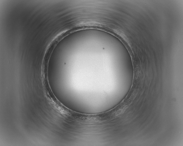 X0000073400979200608111254